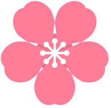 Sakura icon